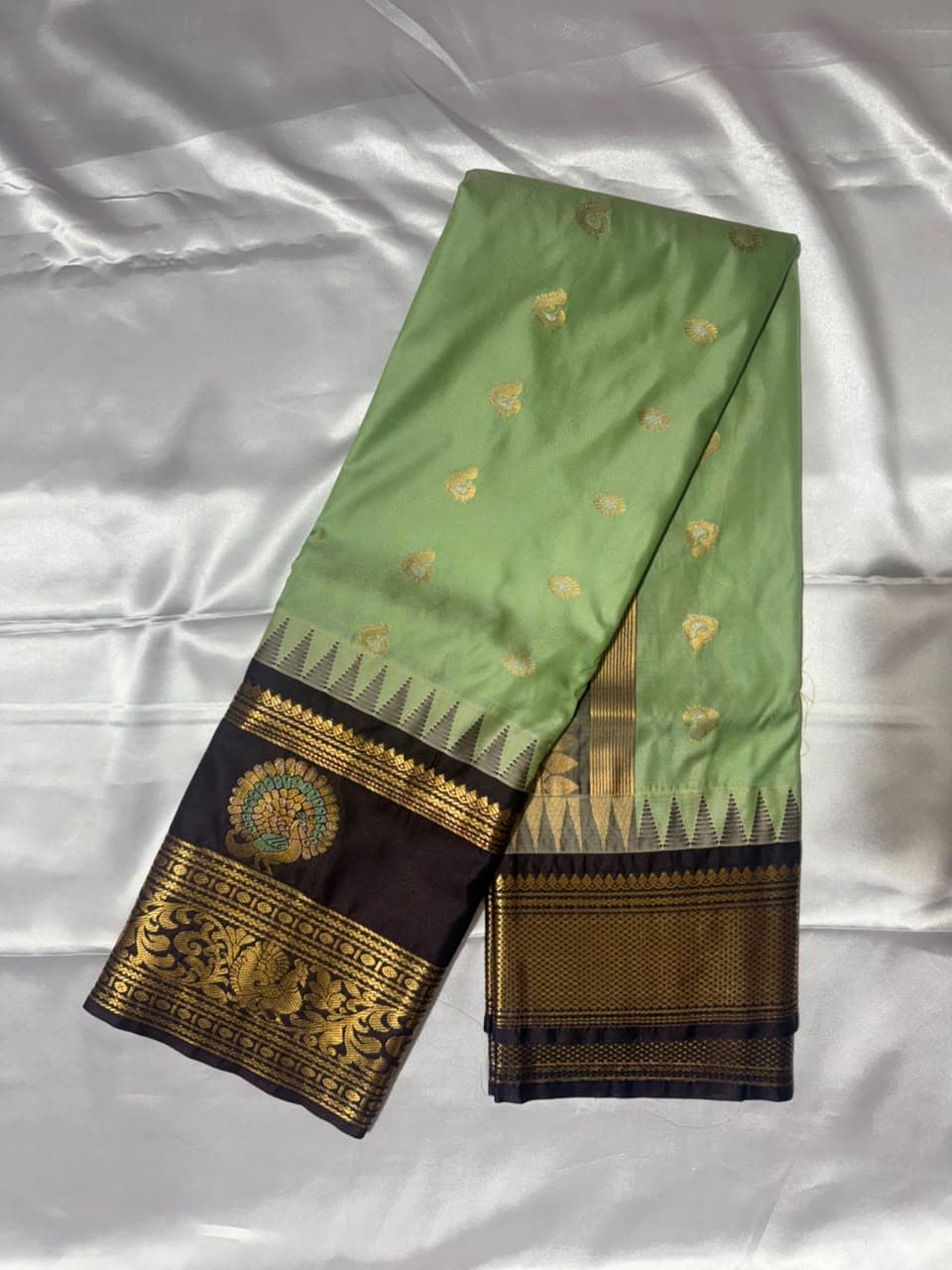 Green plain Peacock